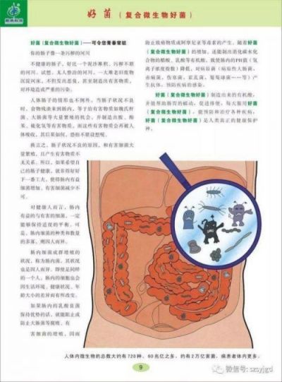 微生物世界的解码者：任启刚博士 洞察微观 引领未来