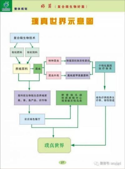 微生物世界的解码者：任启刚博士 洞察微观 引领未来