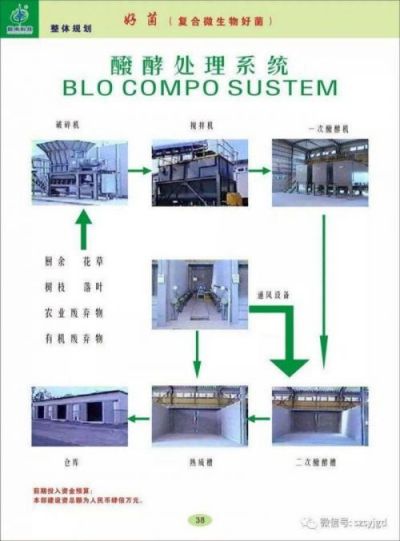 微生物世界的解码者：任启刚博士 洞察微观 引领未来